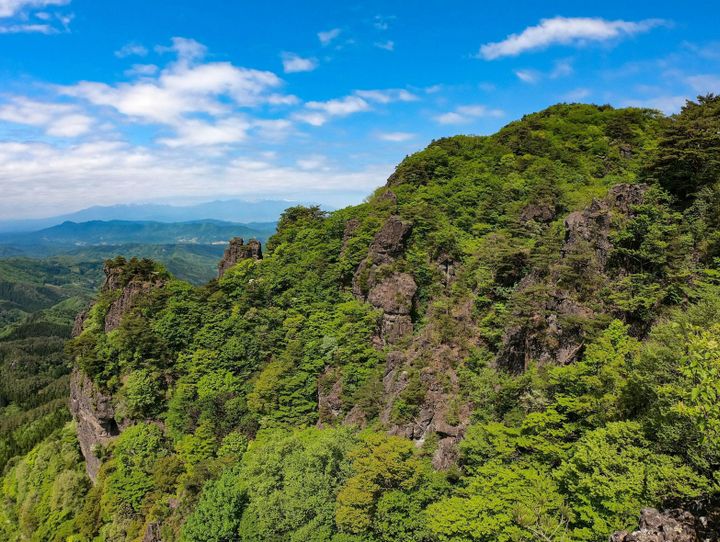 伊達市