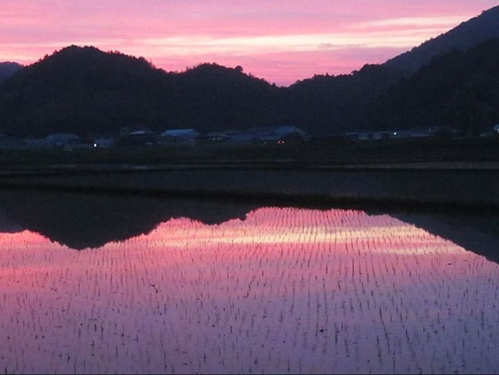 山口県全体