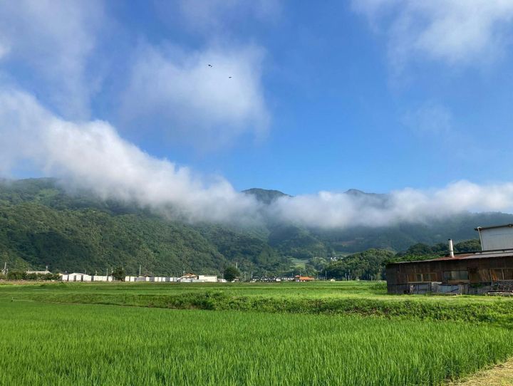 津山市