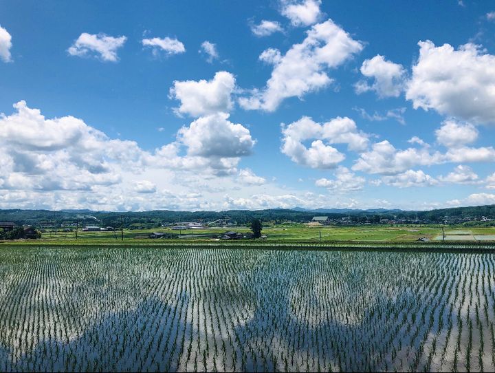 三条市