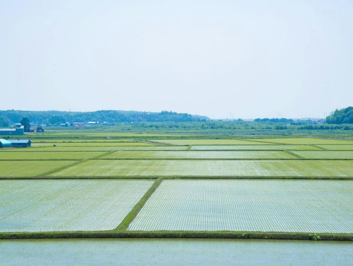 厚真町