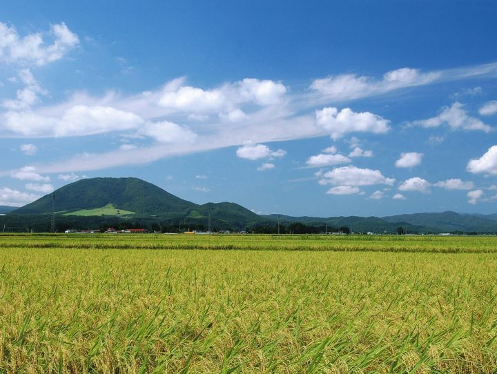 加美町