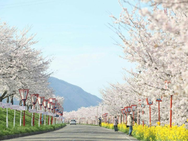 燕市