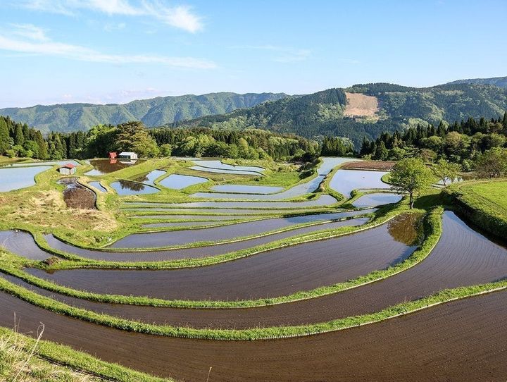 養父市