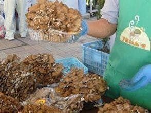 茂木町