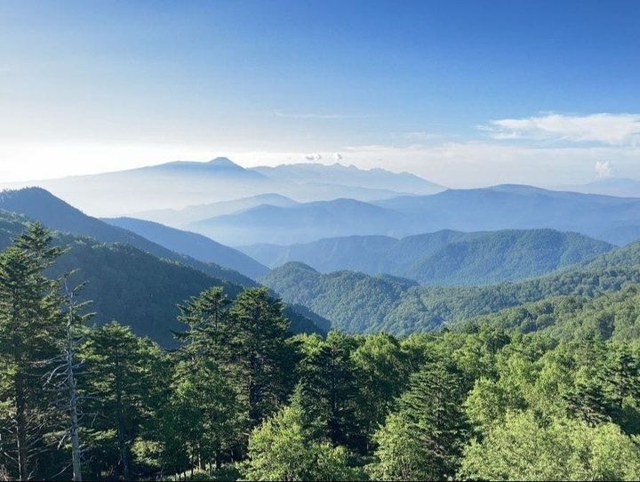 長和町