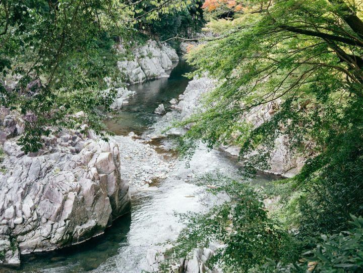 多賀町