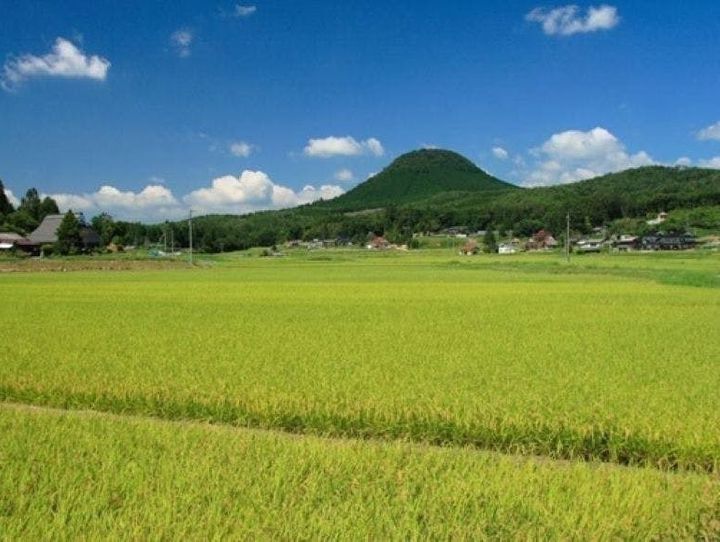 新見市