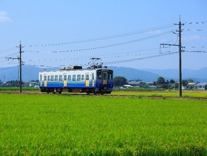 福井県全体