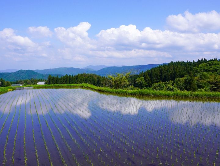 養父市