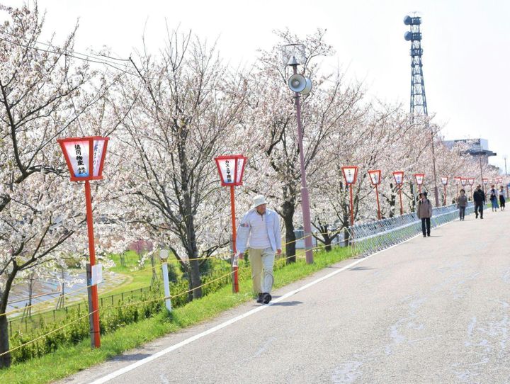 燕市