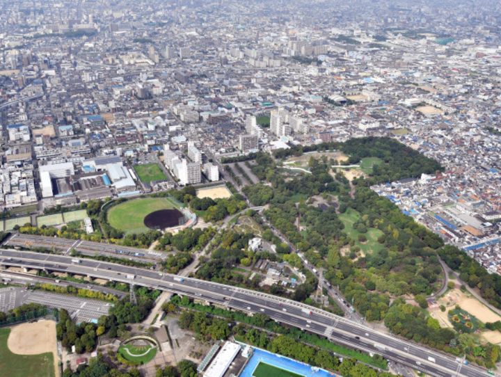 八尾市