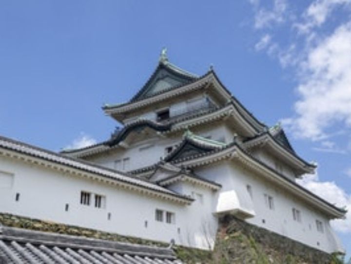和歌山市