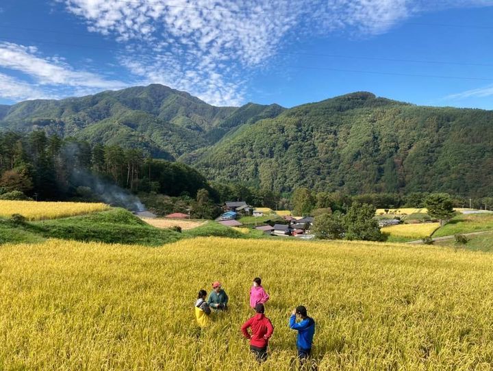 伊那市