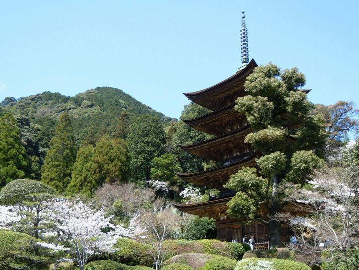 山口市