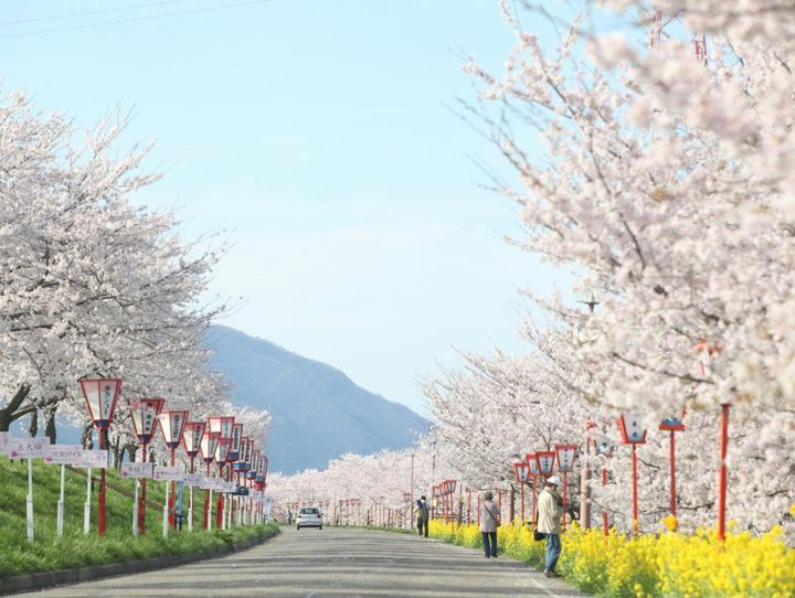 燕市