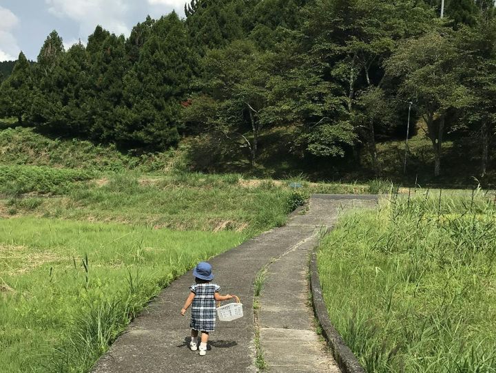 高野町