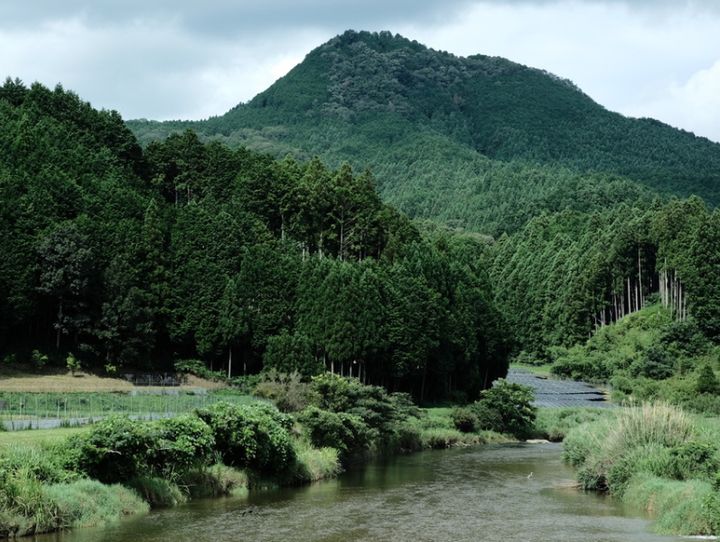 宇陀市
