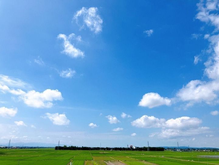 燕市