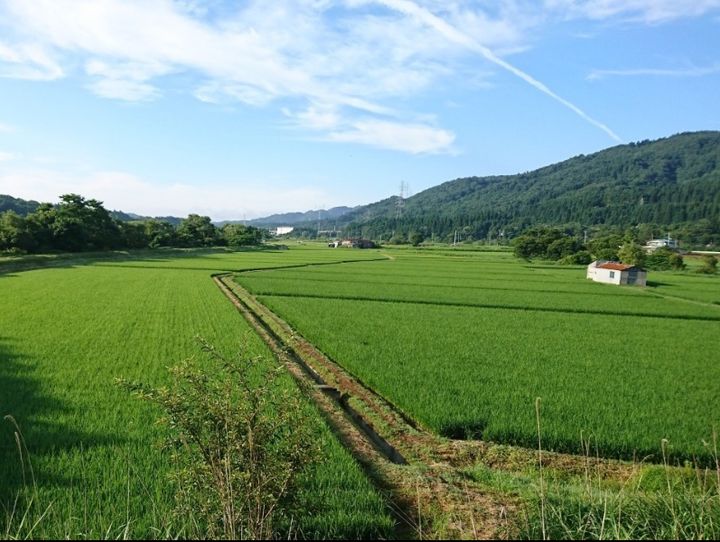 今別町