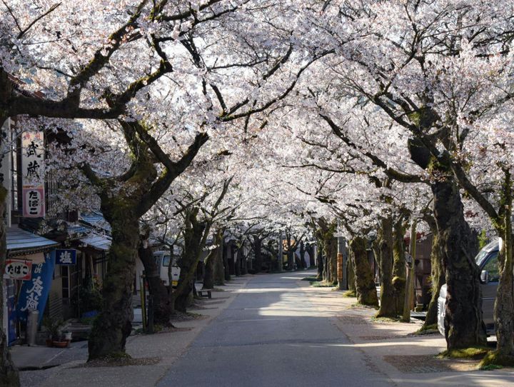 新庄村