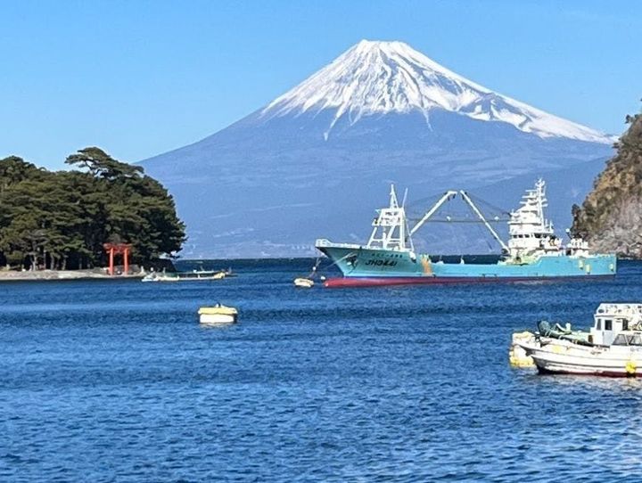 沼津市