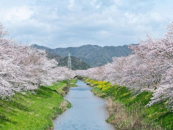 山県市