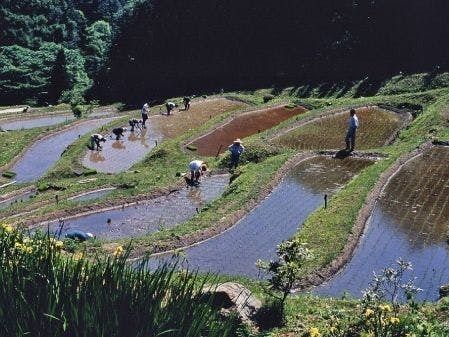 みなかみ町