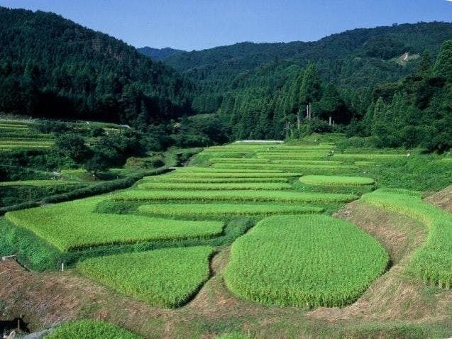 高島市