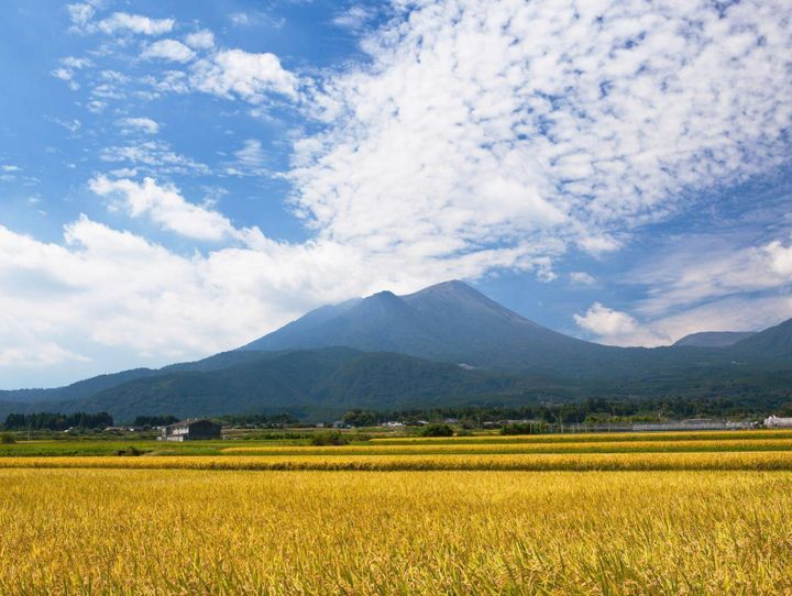 熊本県全体