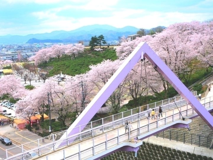 鯖江市