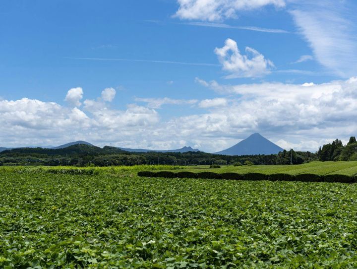 鹿児島県全体