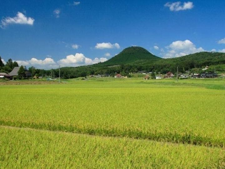 新見市
