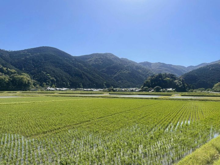 東洋町