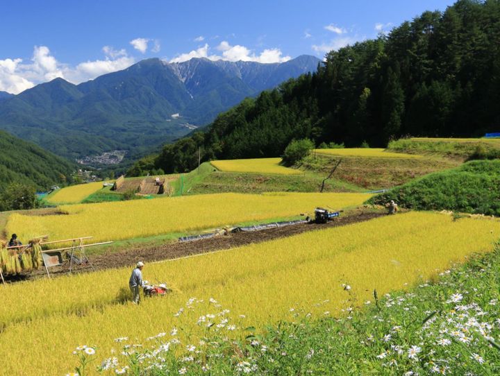 上松町
