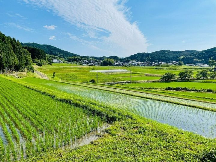 奈良市