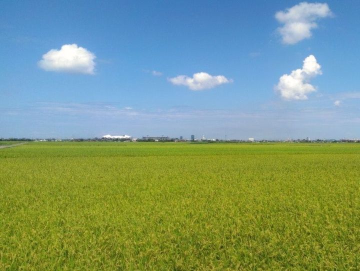 新潟市