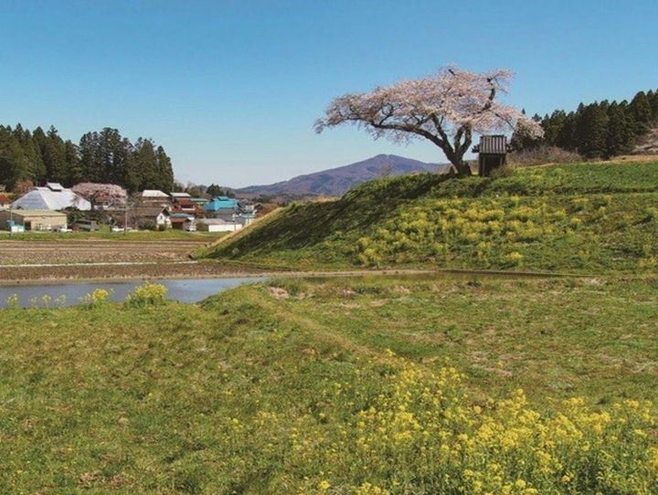 田村市