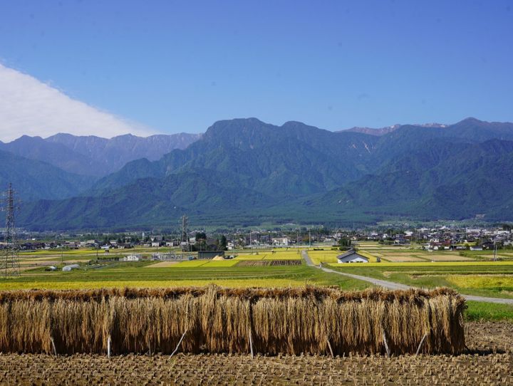 池田町