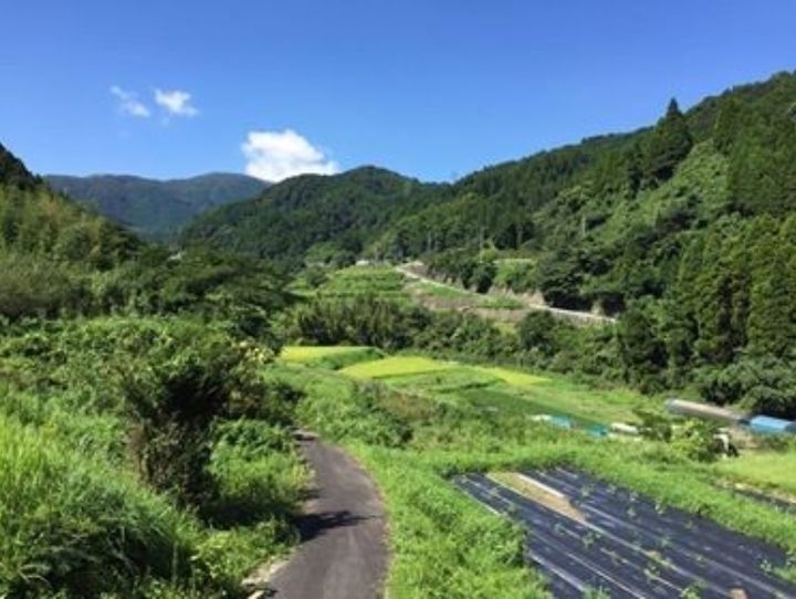 佐賀市