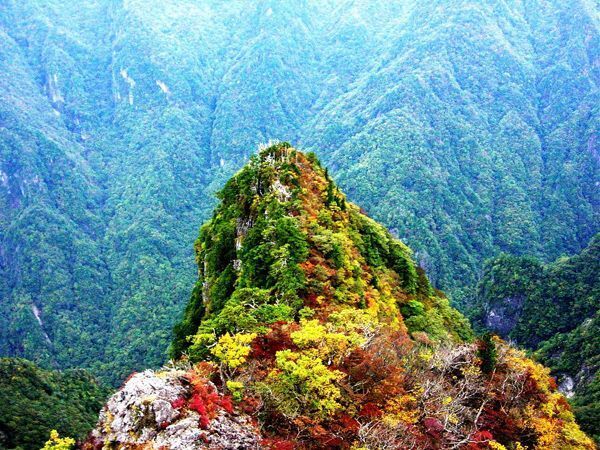 上北山村