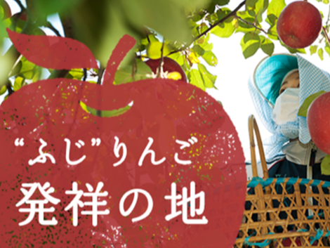 藤崎町