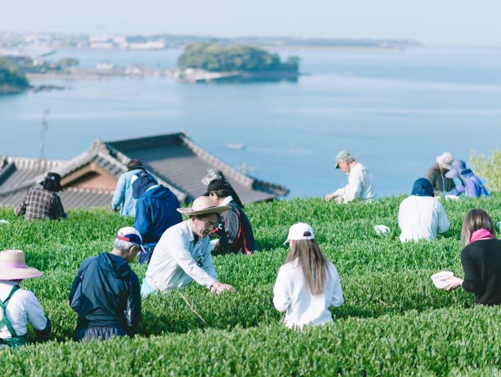東彼杵町
