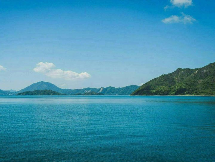 愛媛県全体