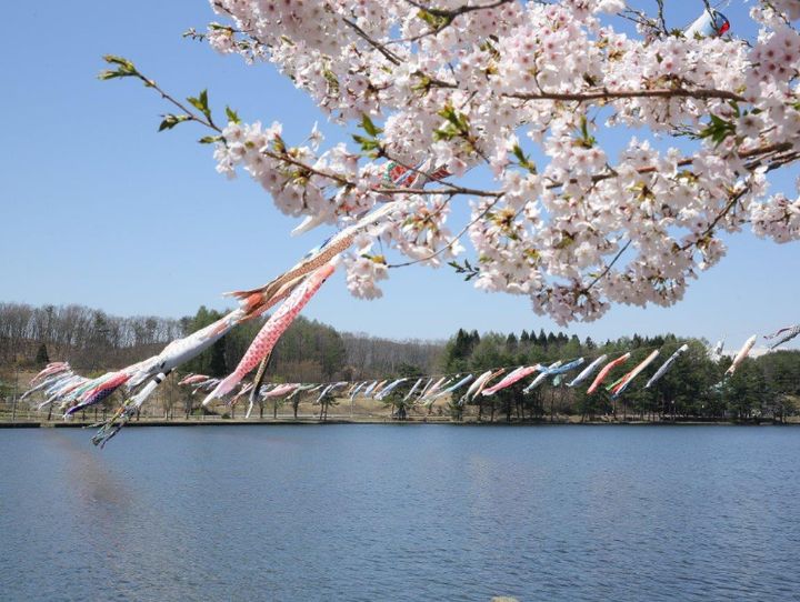 尾花沢市