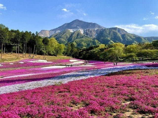 秩父市