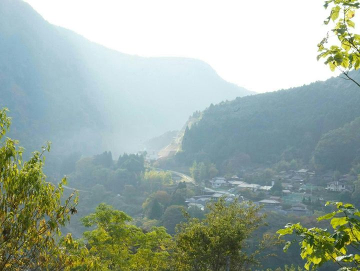 川上村
