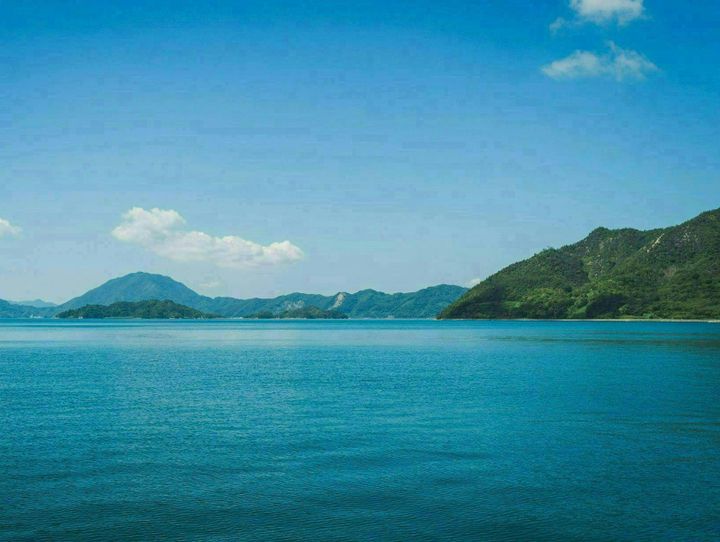 愛媛県全体