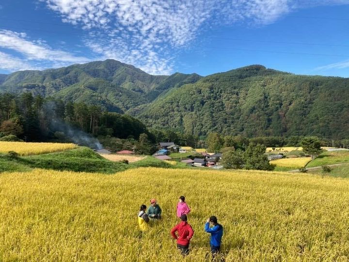 伊那市
