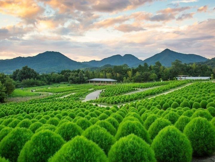 香川県全体